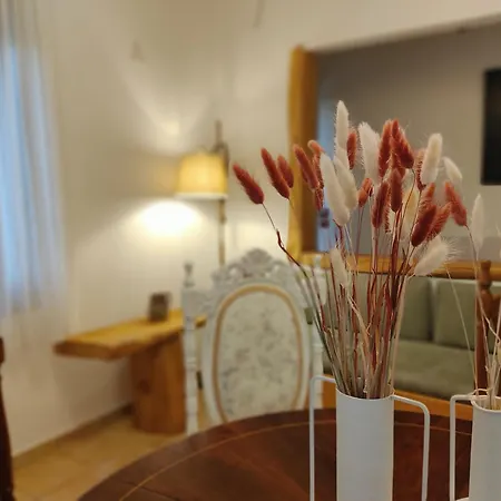 Miression Pelion House Mourésion